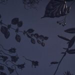 Advent Calendar 25_5